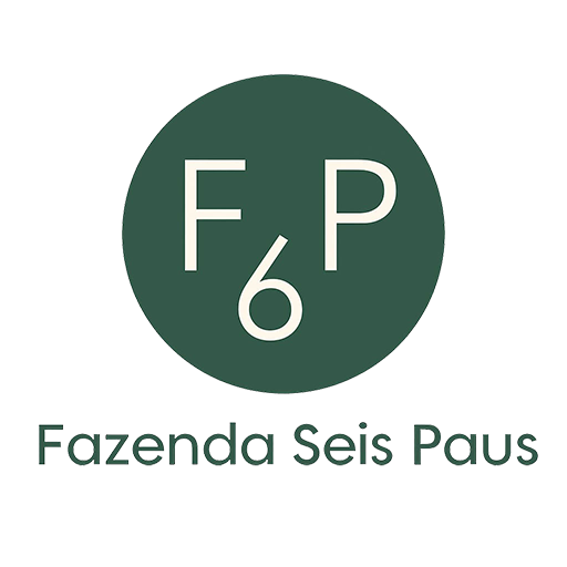 Fazenda 6 Paus